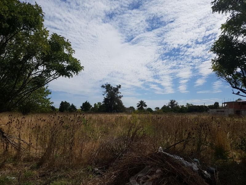 Lote en Venta — foto 1