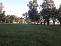 Campo en Venta