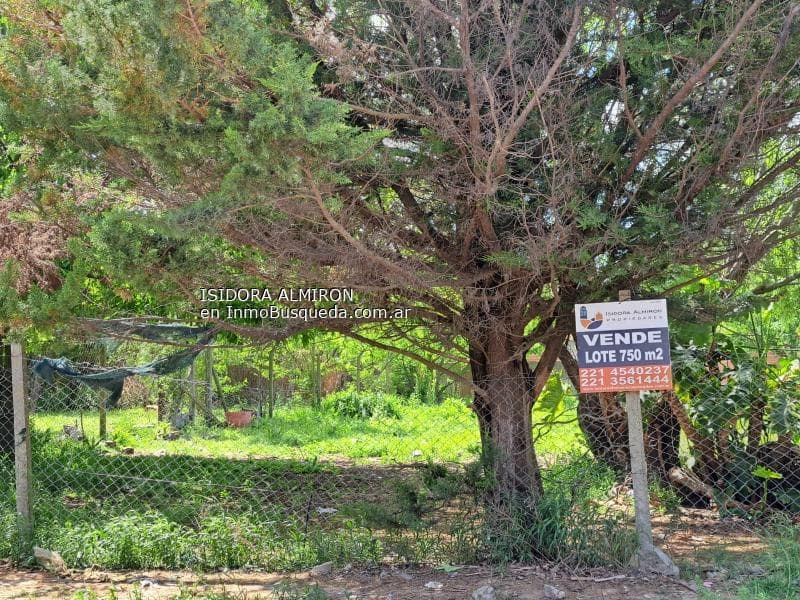 Lote en Venta — foto 1