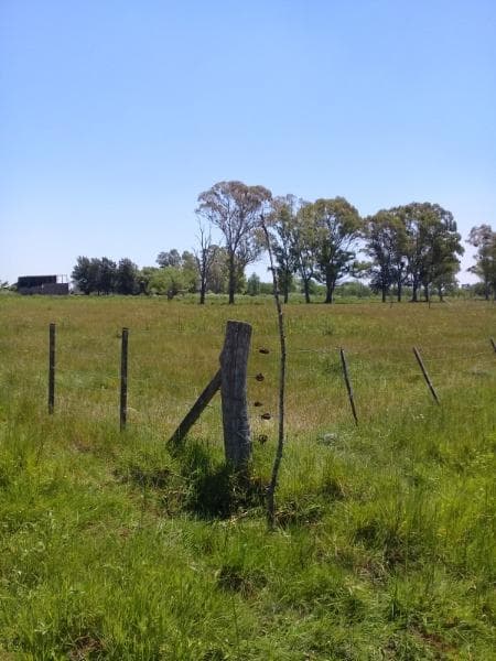 Terreno en Venta — foto 1