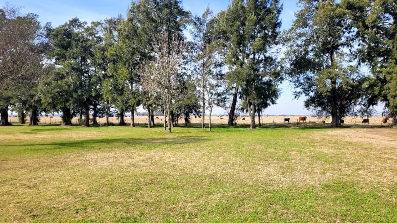 Campo en Venta — foto 1