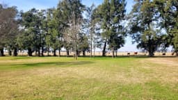 Campo en Venta
