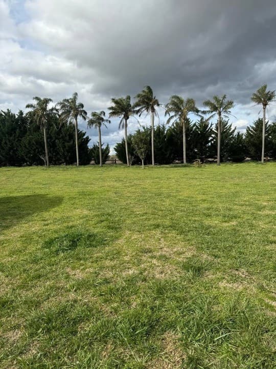 Campo en Venta — foto 1