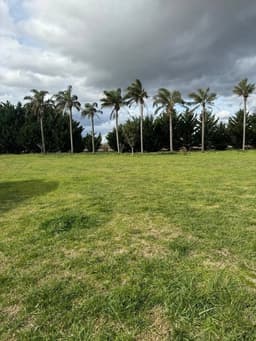 Campo en Venta