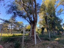 Lote en Venta