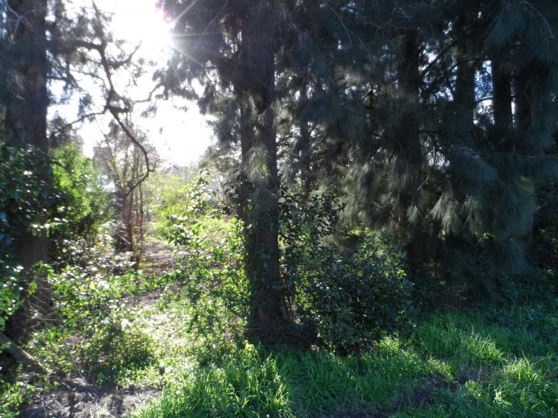 Lote en Venta — foto 1