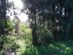 Lote en Venta