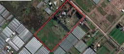 Campo en Venta