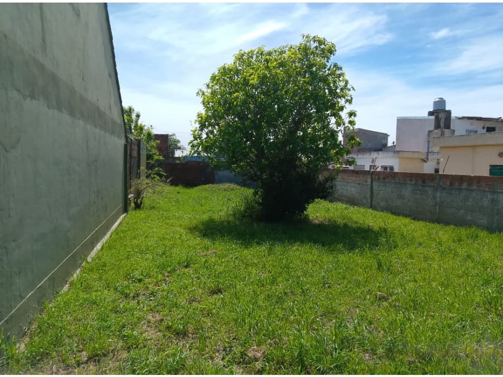 Lote de terreno - Carasa y Gianelli — foto 4