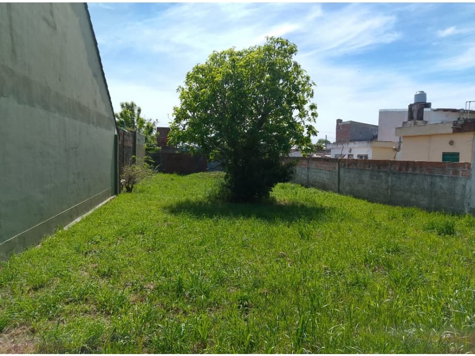 Lote de terreno - Carasa y Gianelli — foto 6