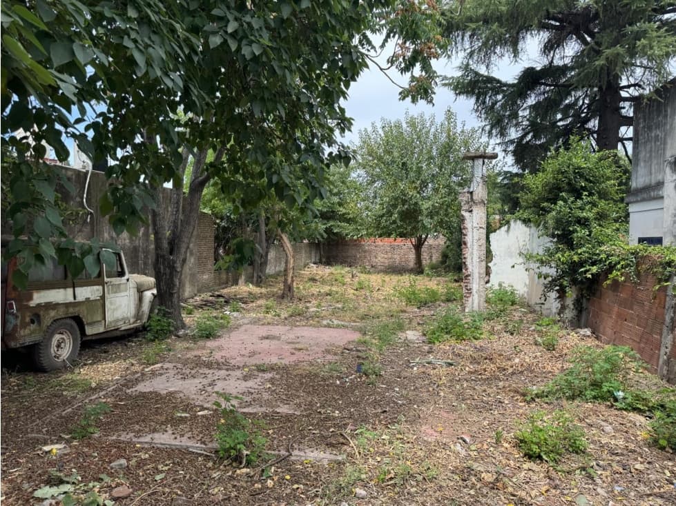 AMPLIO LOTE DE TERRENO — foto 1