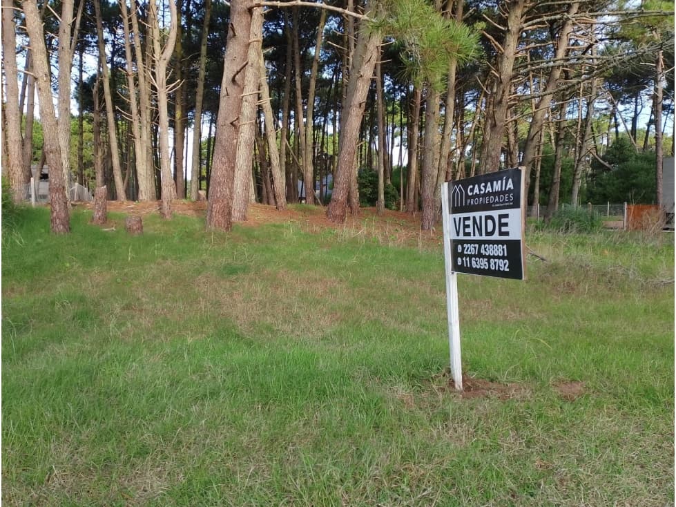 PINAMAR - CUL DE SAC DE ALAMOS LOTE 09 — foto 3