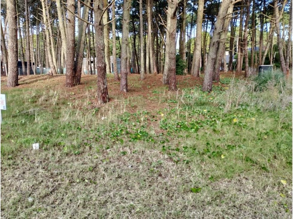 PINAMAR - CUL DE SAC DE ALAMOS LOTE 09 — foto 6