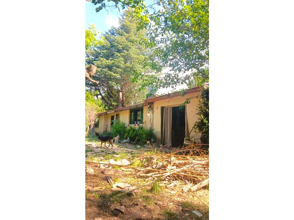 VENTA DE CASA CON 2 HÉCTAREAS EN SAN ESTEBAN — foto 6