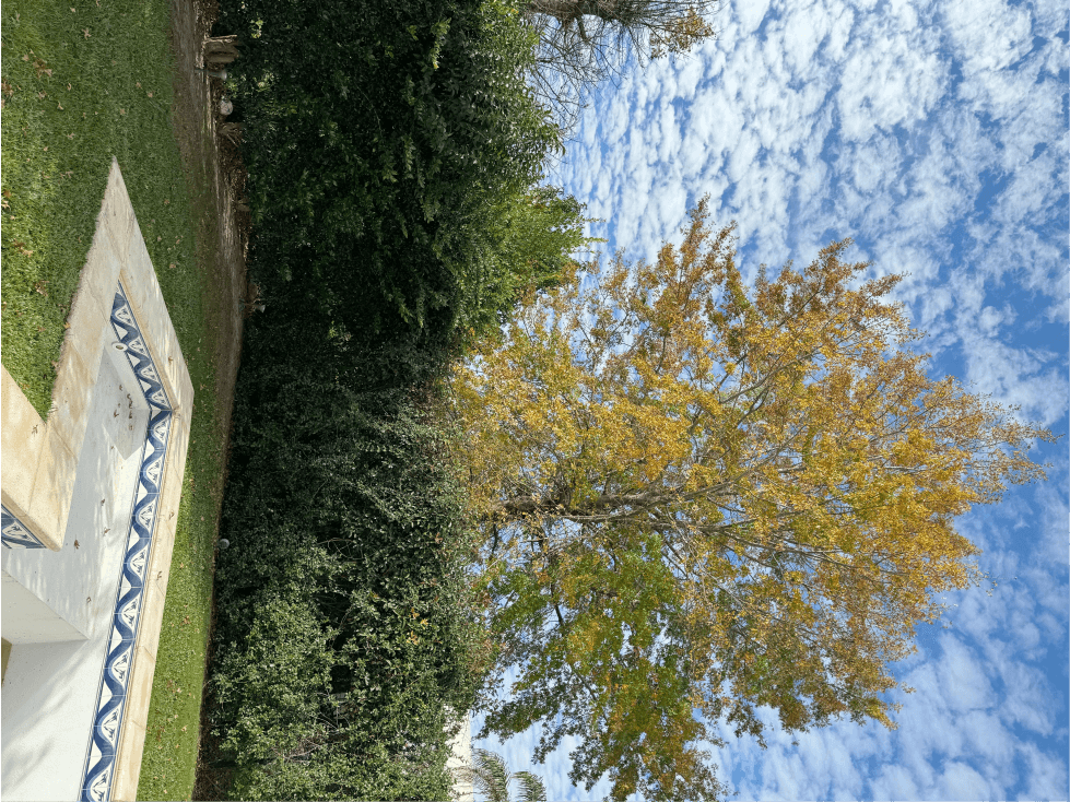 IMPORTANTE PROPIEDAD EN VENTA CADAQUES — foto 2