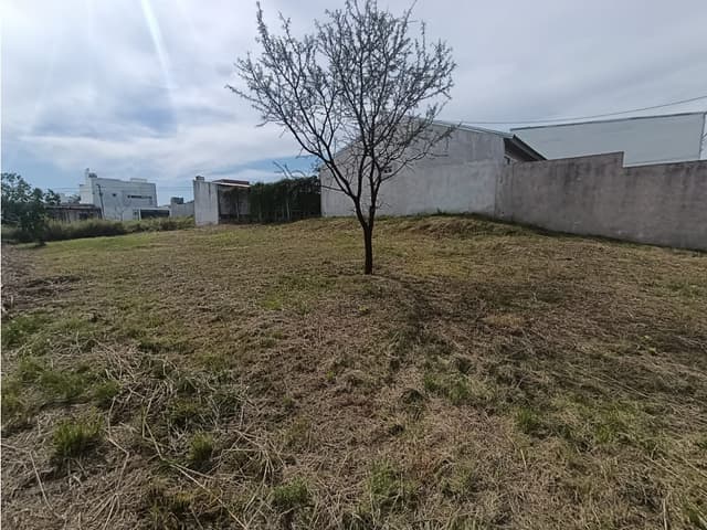 VENTA TERRENO 10 x 30 Loteo "Las Tipas" CALLE CHACHO PEÑALOZA
