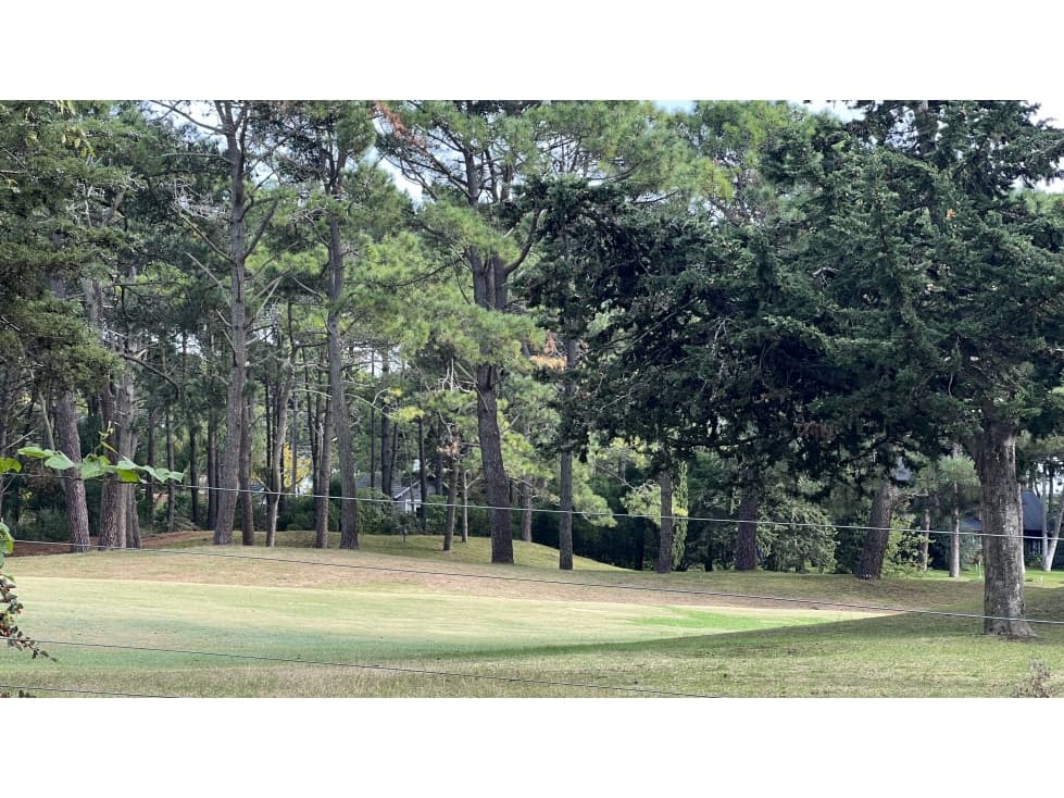LOTE SOBRE SHAW EN EL GOLF NUEVO — foto 6