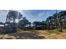 Hermoso lote en venta en Barrio Bosques de Pinamar