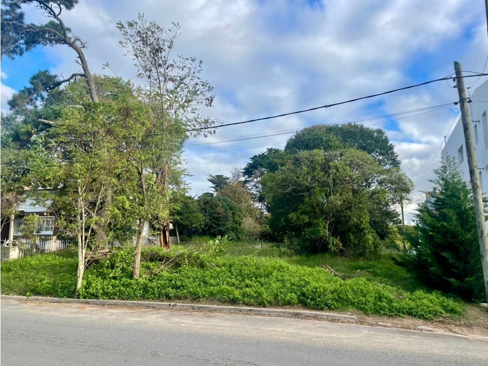 Lote Multifamiliar en Pinamar — foto 3