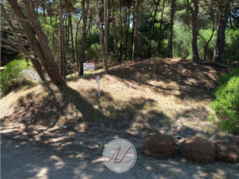 LOTE EN AJAX / PINAMAR NORTE — foto 5