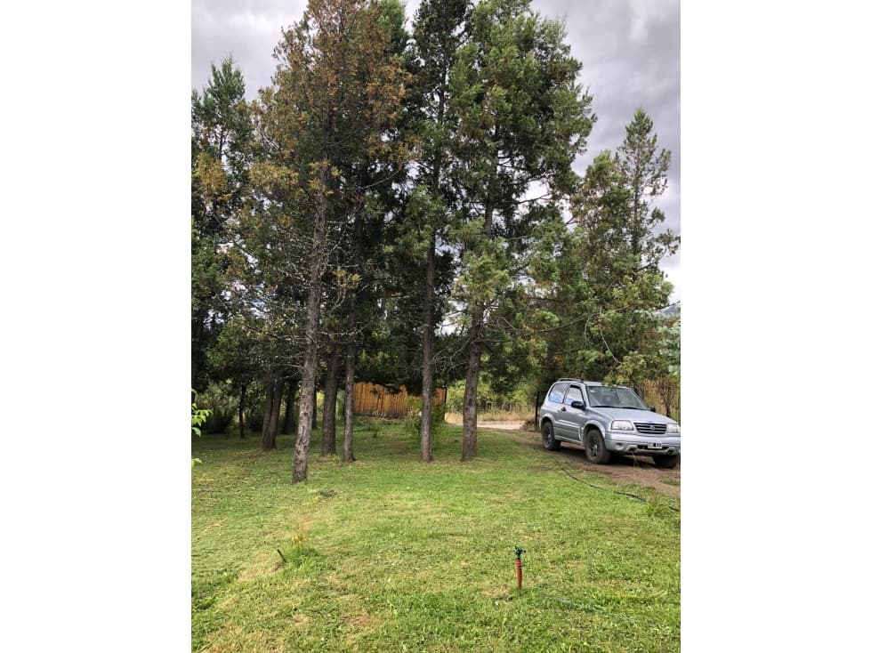 EN VENTA CASA EN LAS GOLONDRINAS — foto 3
