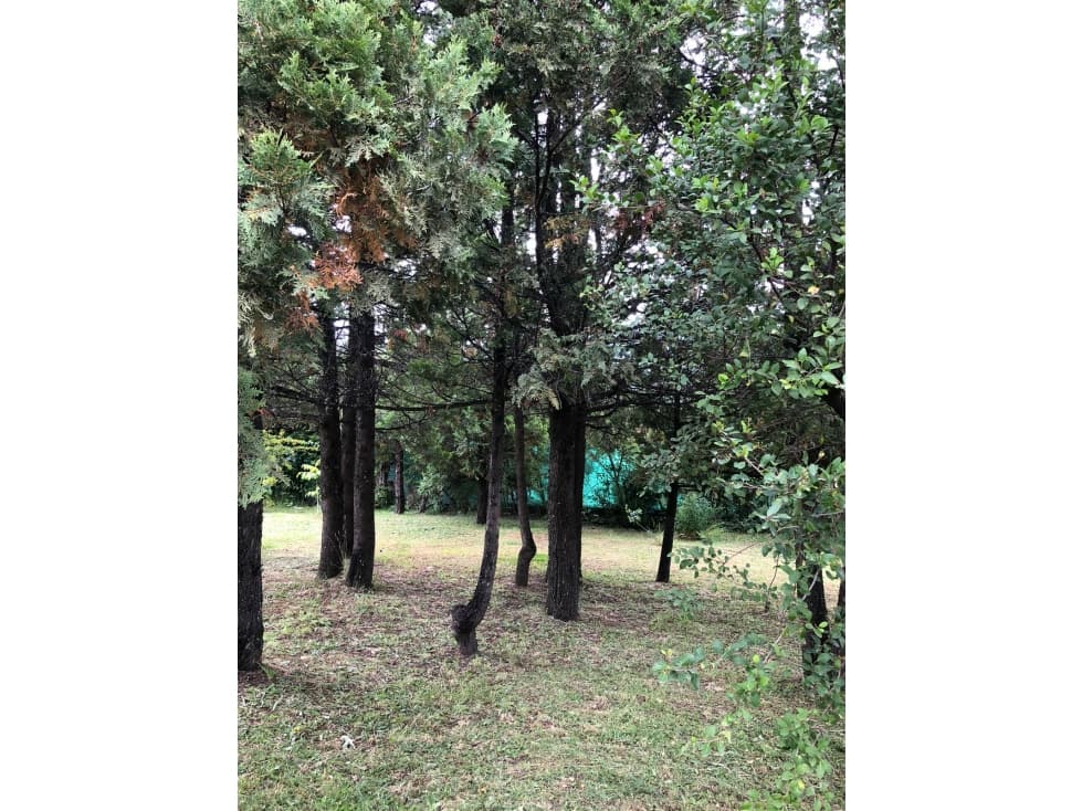 EN VENTA CASA EN LAS GOLONDRINAS — foto 2