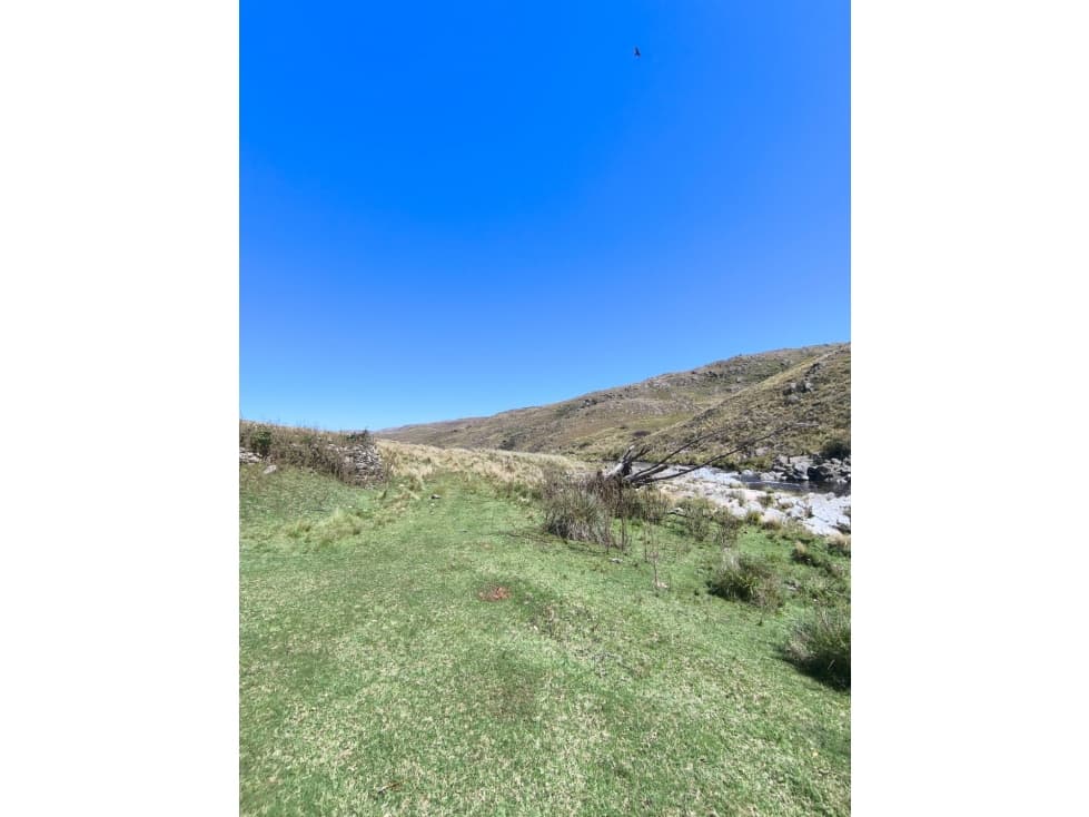 Campo Río de Los Sauces — foto 4