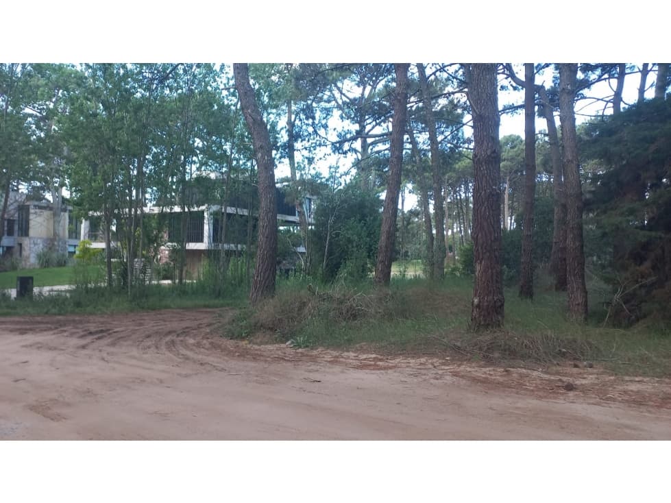 Lote en Venta Isla de Golf Carilo — foto 6