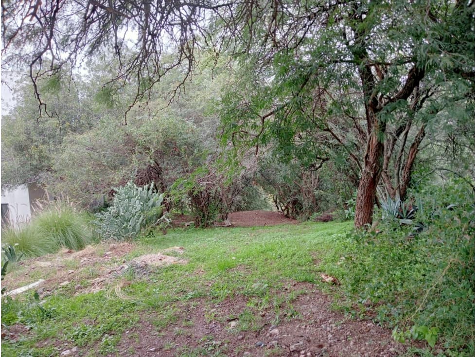 TERRENO EN VENTA LA CALERA CINCO LOMAS — foto 6