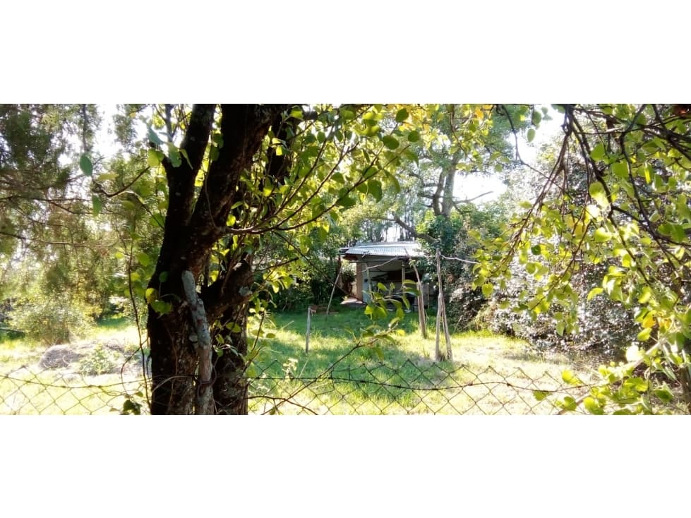 Se vende casa en el Pingo, Entre Rios — foto 6