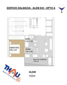 ALEM 600 - Thau David Adrian