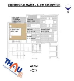 ALEM 600 - Thau David Adrian