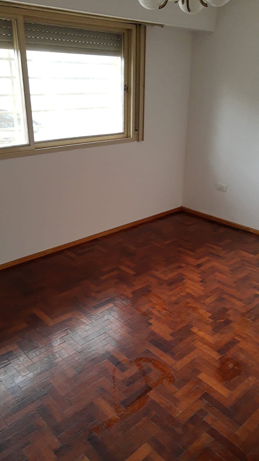 PAVON 5400 - Adolfo Ferrari — foto 13