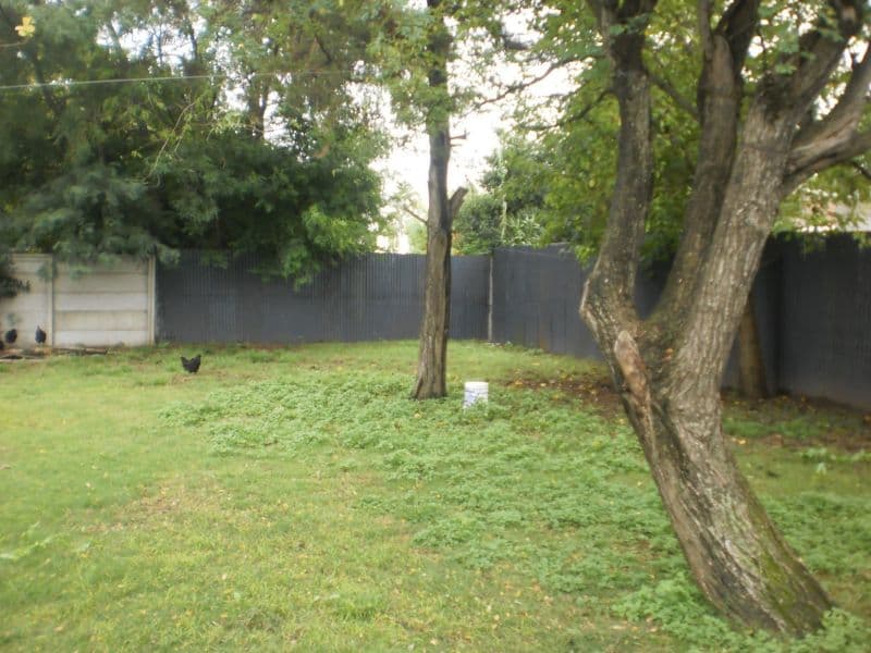 40 2100 - Menacho Propiedades — foto 14