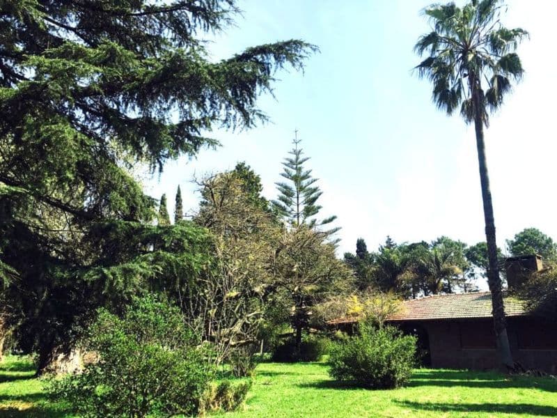 419 s00 - Menacho Propiedades — foto 4