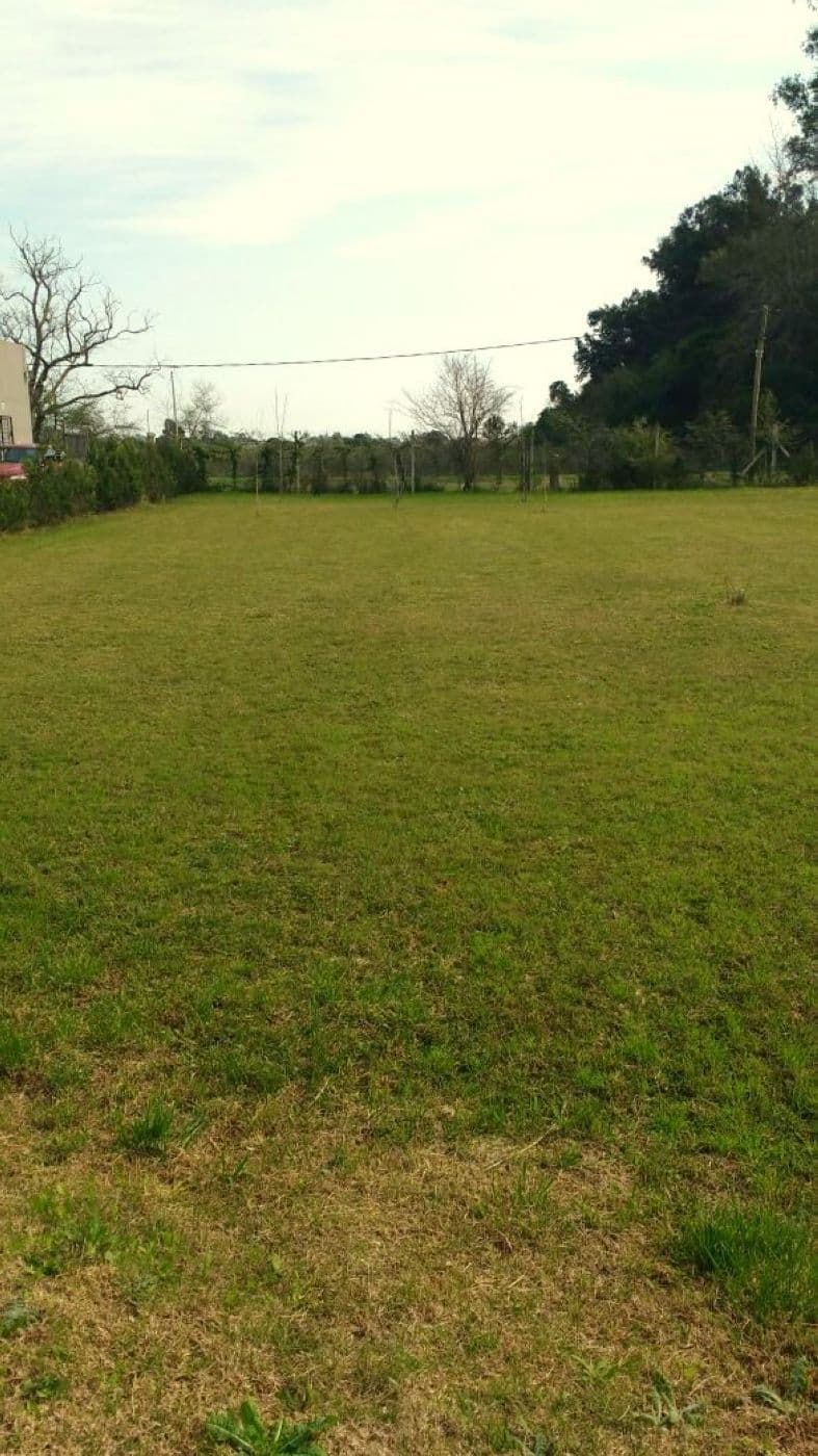 185 - Menacho Propiedades — foto 9