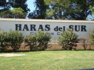 Haras del sur 00 - Building Inmobiliaria — foto 1