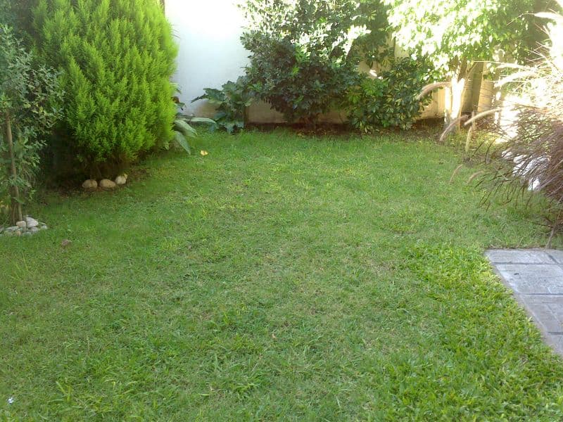 calle 10 e/ 73 y 74 2000 - Building Inmobiliaria — foto 8