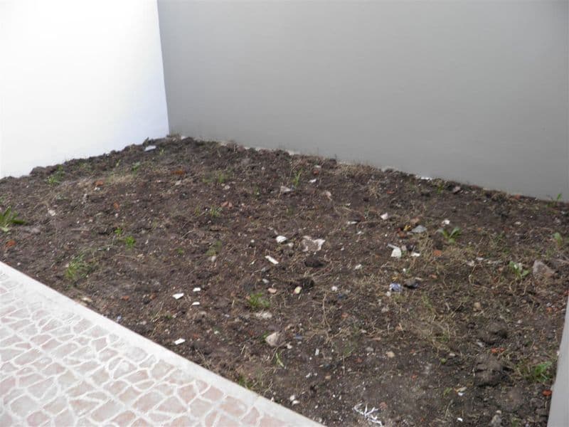 20 e/ 45 y 46 600 - Building Inmobiliaria — foto 13