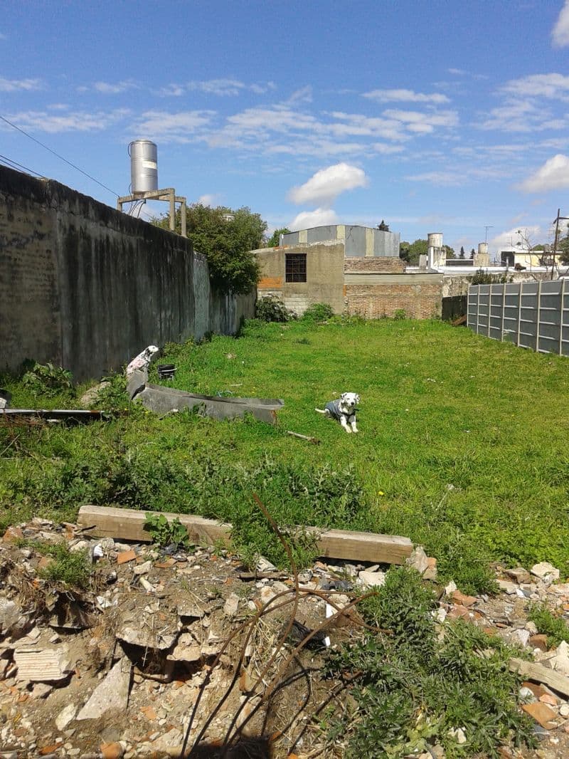 123 e/ (36 y 37) S00 - Building Inmobiliaria — foto 4