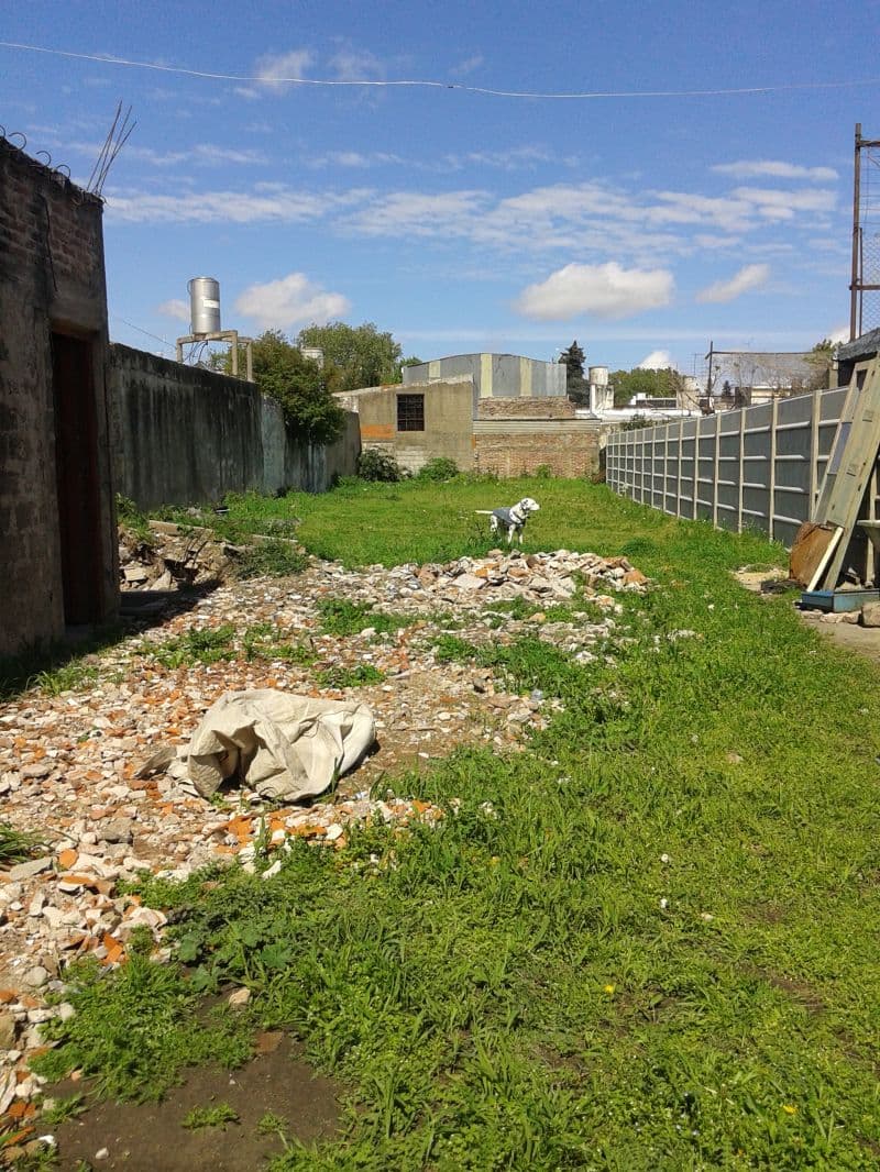 123 e/ (36 y 37) S00 - Building Inmobiliaria — foto 5