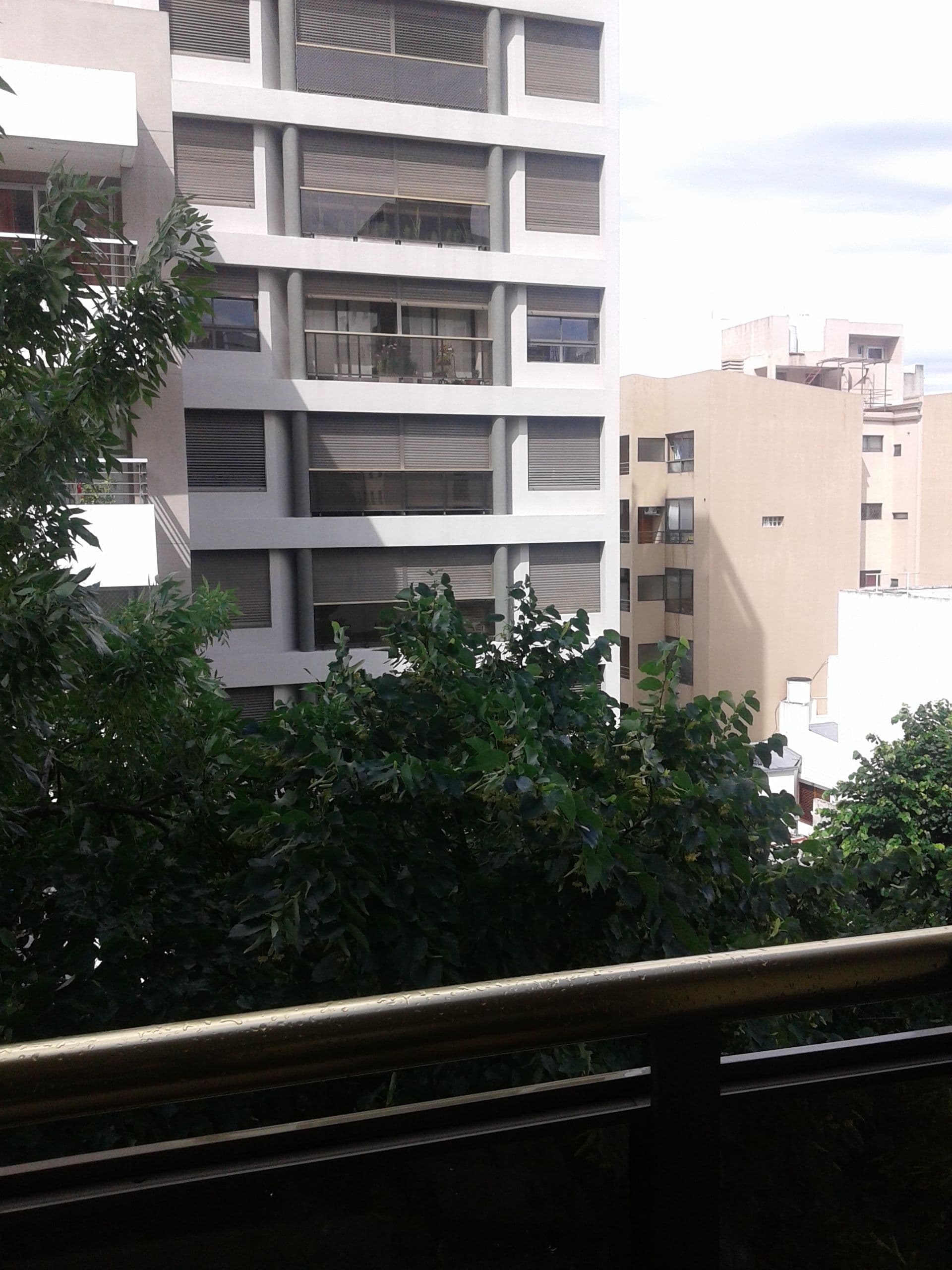 14 e/ (43 y 44) 500 - Building Inmobiliaria — foto 6