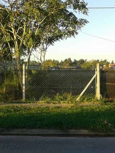Miniatura 9