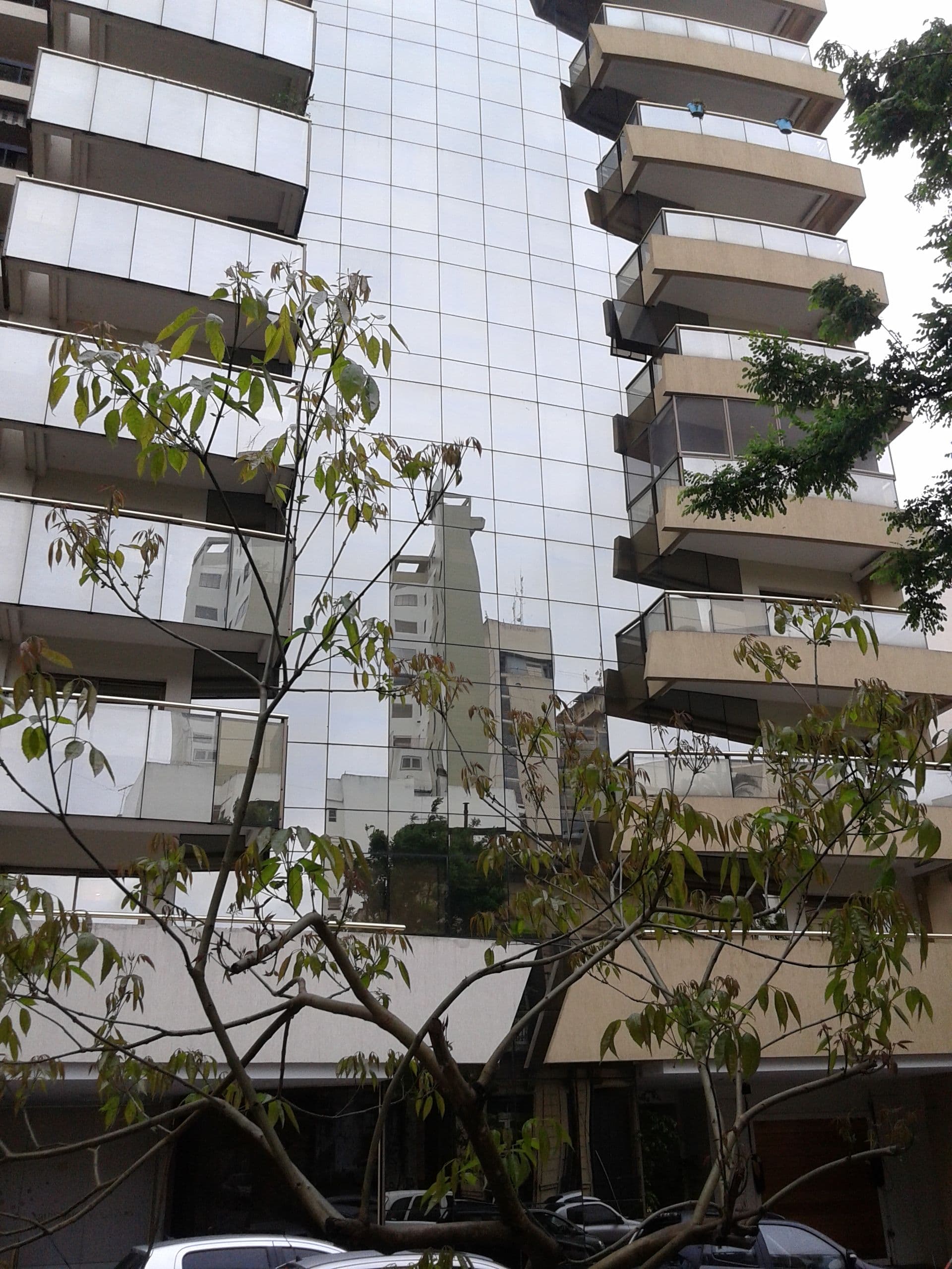 calle 49, 861, e/ 12 y 13 859/00 - Building Inmobiliaria — foto 1