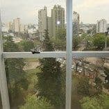 PLaza Italia 32/00 - Building Inmobiliaria — foto 4