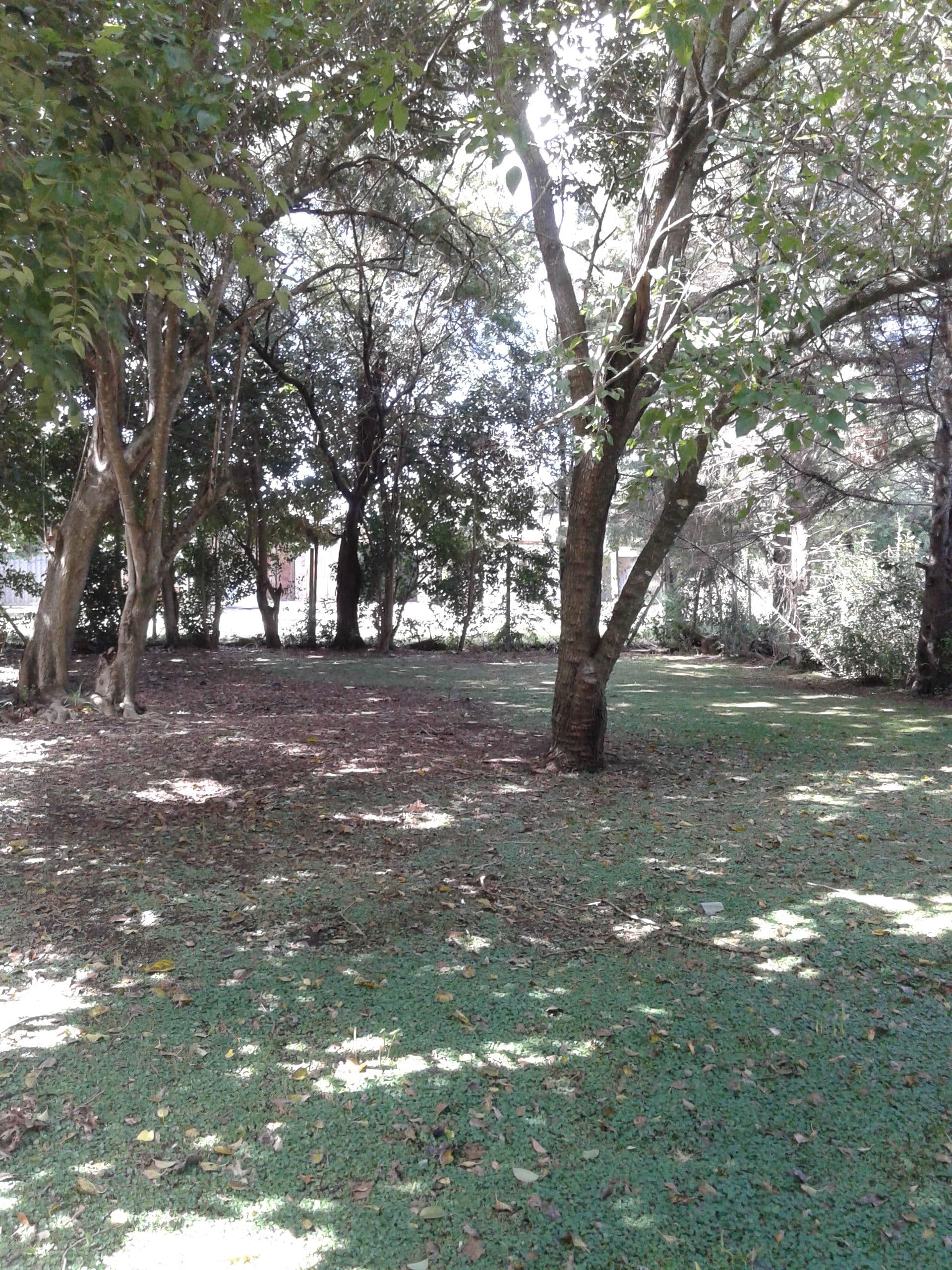 41 5100 - Building Inmobiliaria — foto 15