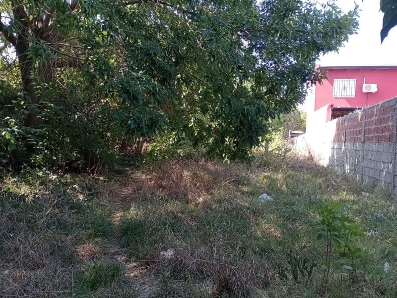 168 e/521 y 522 - Predovan Propiedades — foto 3