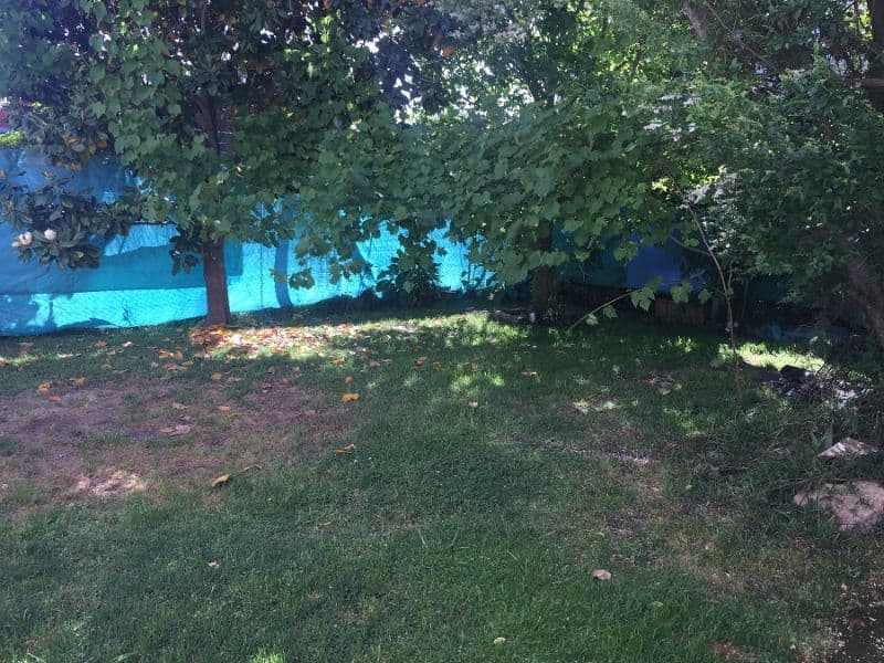 7 e/ 650 y 651 5800 - Predovan Propiedades — foto 10