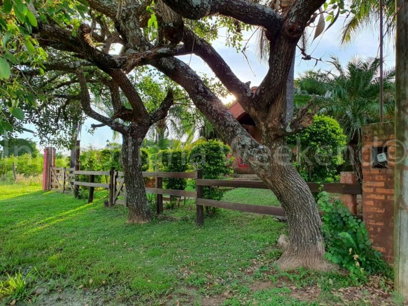 Paso de los Libres e/ Chaco y Tránsito Arce - Weekend Inmobiliaria — foto 3