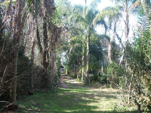 VENDO CASA QUINTA SOBRE EL RÍO CORONDA - Inmobiliaria Zucco